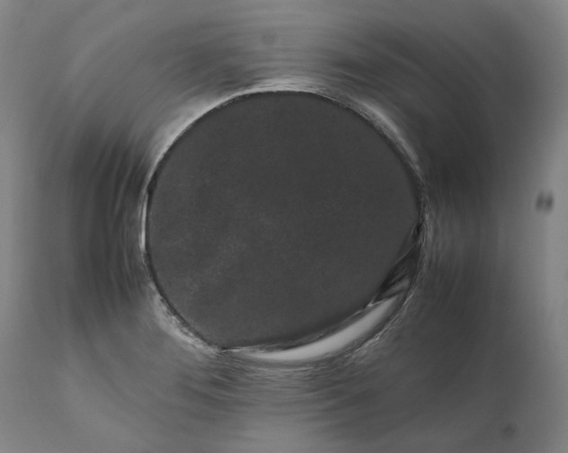 X0000111191276200907151340