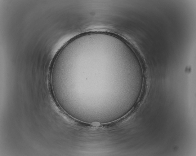 X0000111191277200907151340