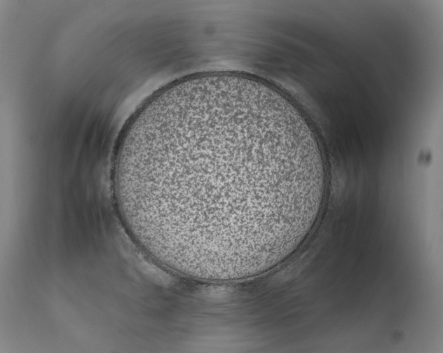 X0000111191278200907151340