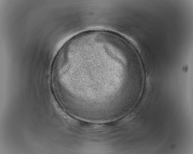 X0000111191279200907151340