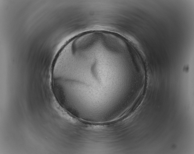 X0000111191280200907151340