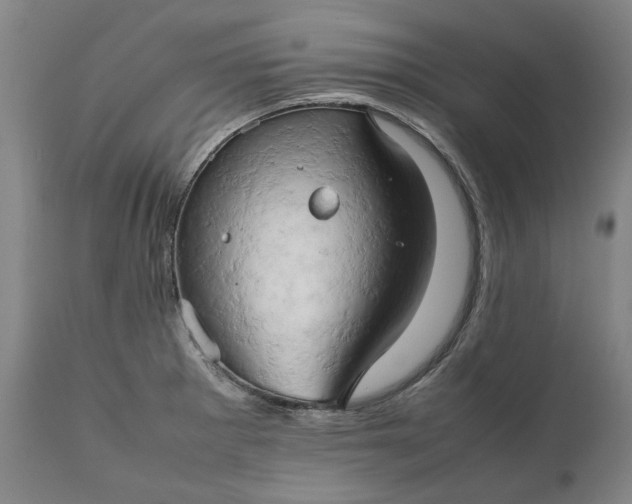 X0000111191281200907151340