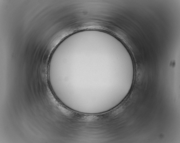 X0000111191282200907151340