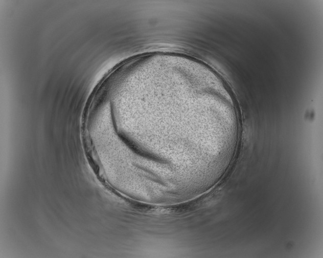 X0000111191283200907151340