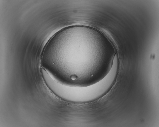 X0000111191284200907151340