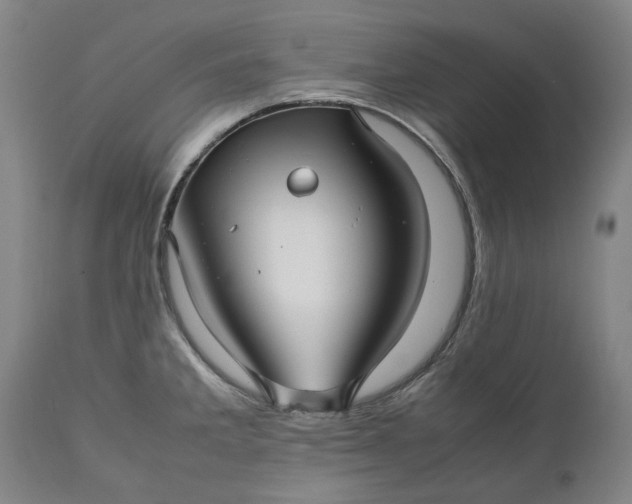 X0000111191285200907151340