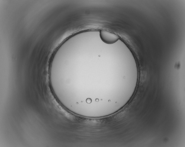 X0000111191286200907151340