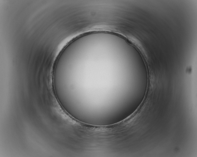 X0000111191288200907151340