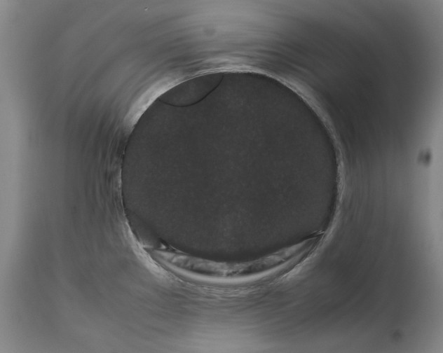 X0000111191289200907151340