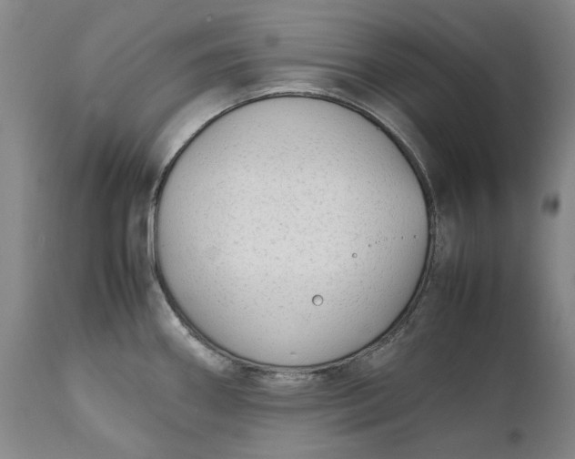 X0000111191290200907151340