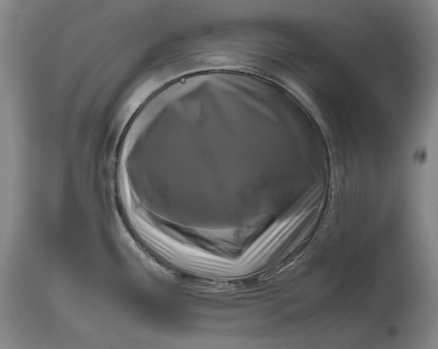 X0000111191291200907151340