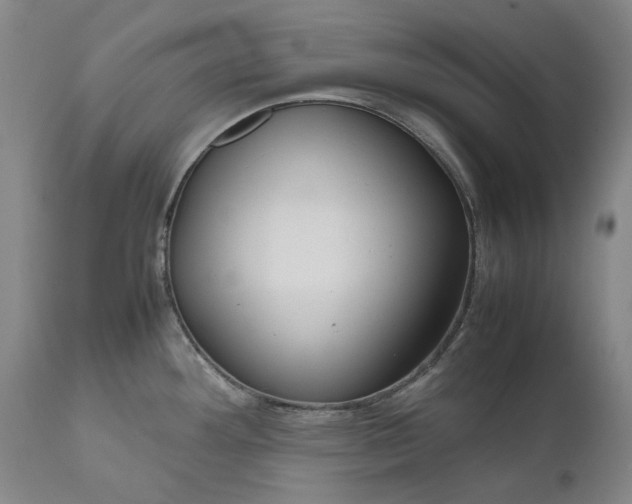 X0000111191292200907151340