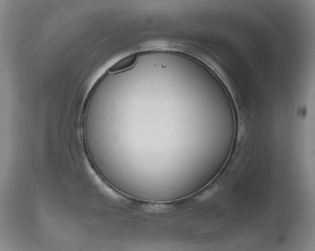 X0000111191293200907151340