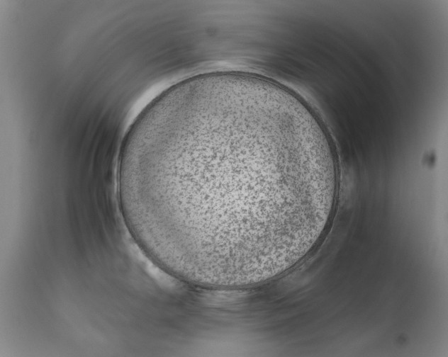 X0000111191294200907151340