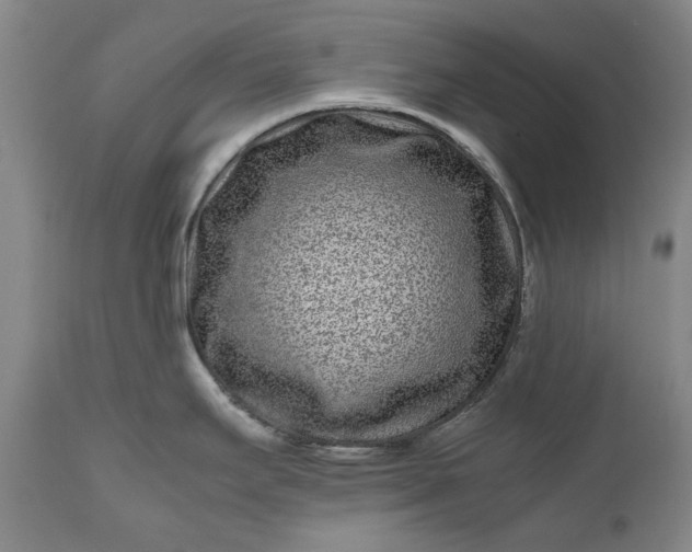 X0000111191295200907151340