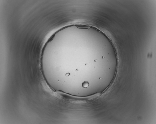 X0000111191296200907151340