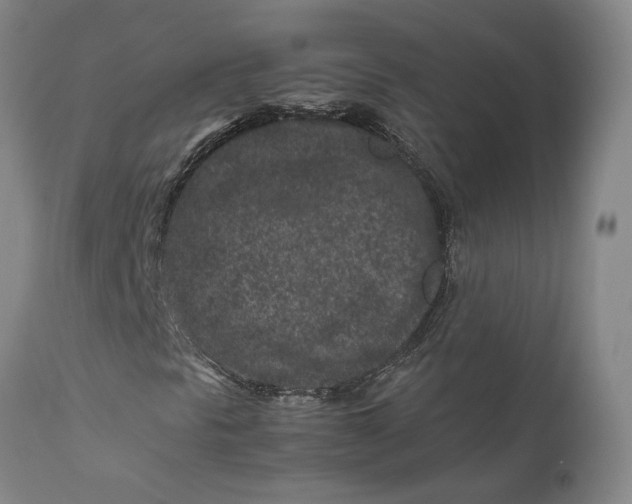 X0000111191297200907151339