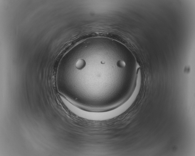 X0000111191298200907151339