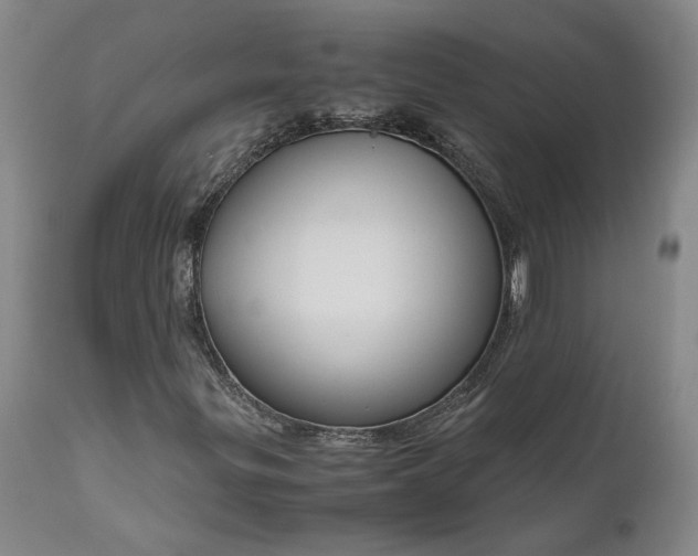 X0000111191299200907151339