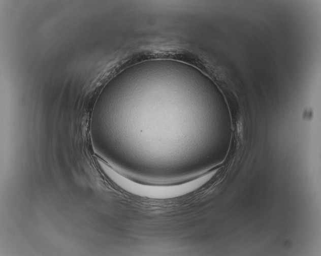 X0000111191300200907151339