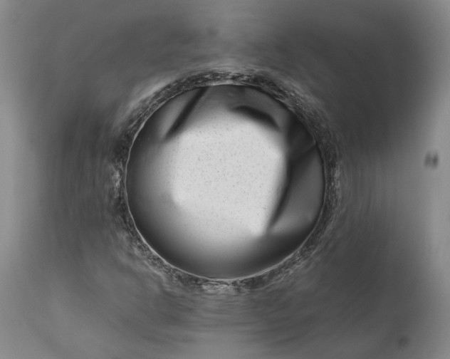 X0000111191302200907151339