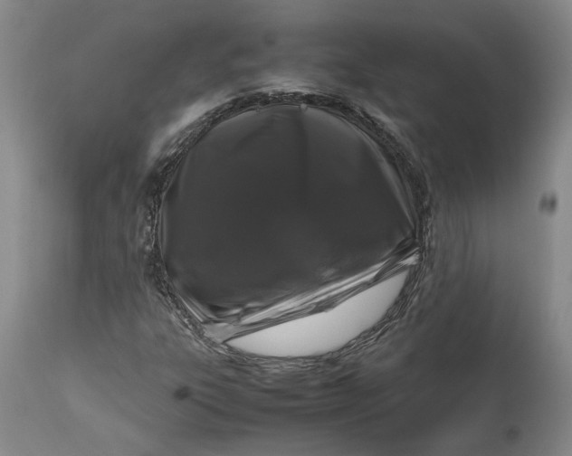 X0000111191303200907151339