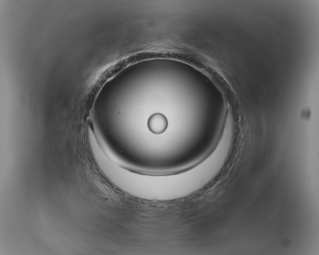 X0000111191304200907151339