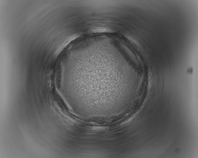 X0000111191305200907151339