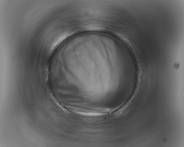 X0000111191306200907151339