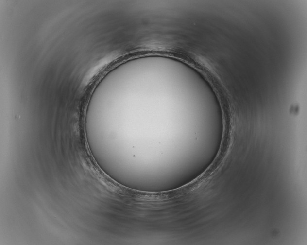 X0000111191307200907151339