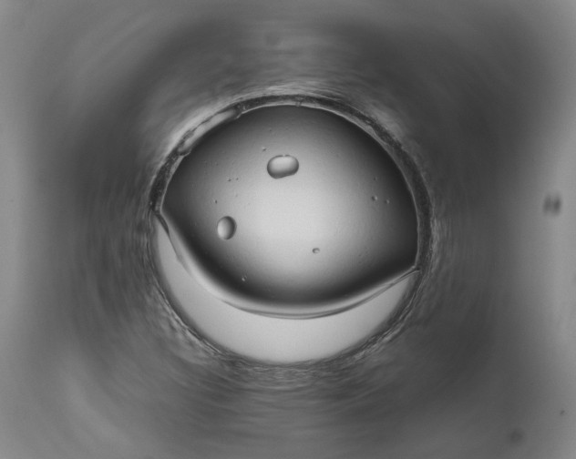 X0000111191308200907151339