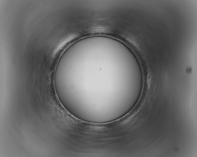 X0000111191309200907151339