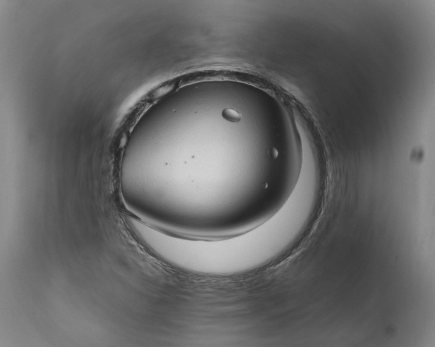 X0000111191310200907151339