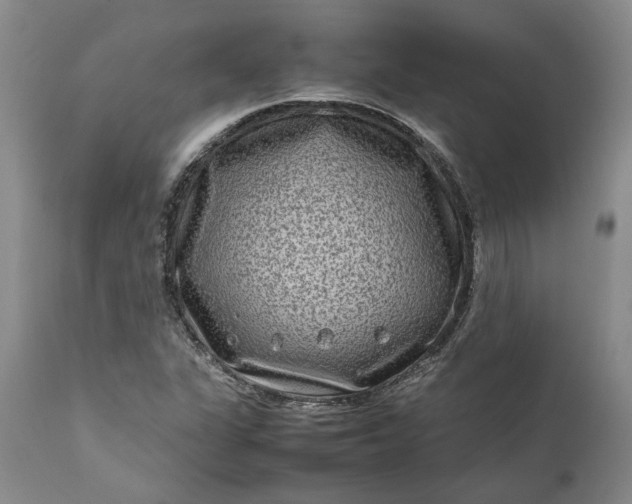 X0000111191311200907151339