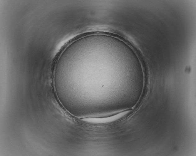 X0000111191312200907151339