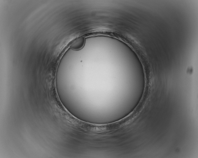 X0000111191313200907151339