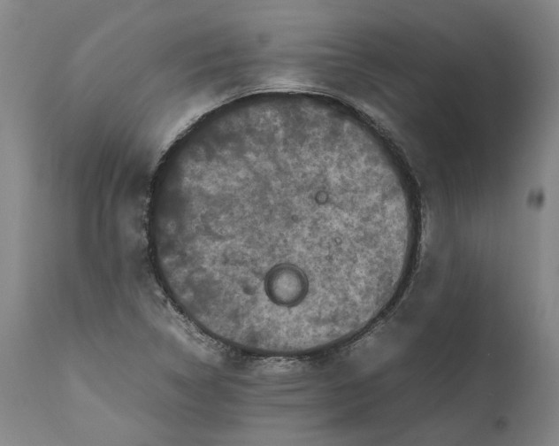 X0000111191314200907151339