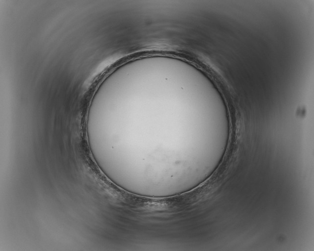 X0000111191315200907151339