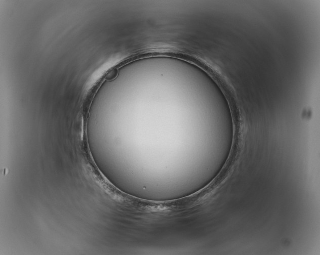 X0000111191317200907151339