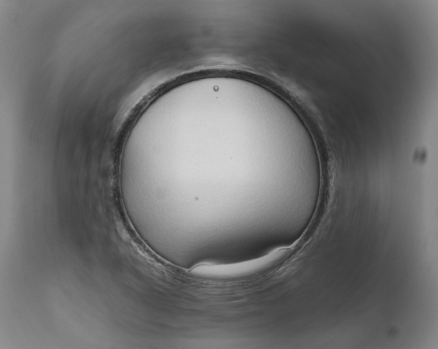 X0000111191318200907151339