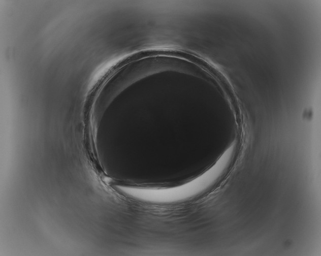 X0000111191319200907151339