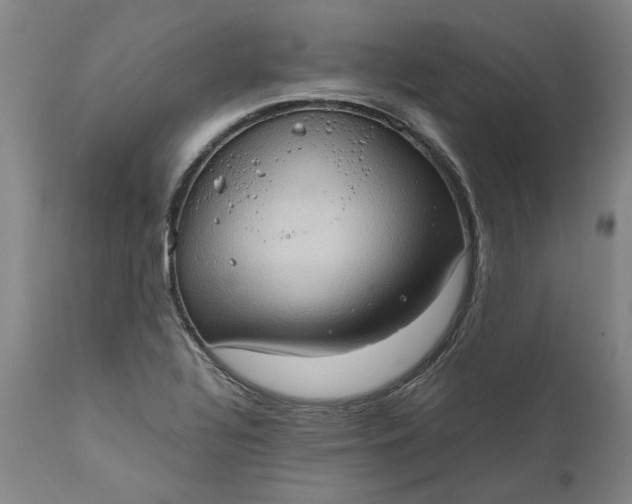 X0000111191320200907151339