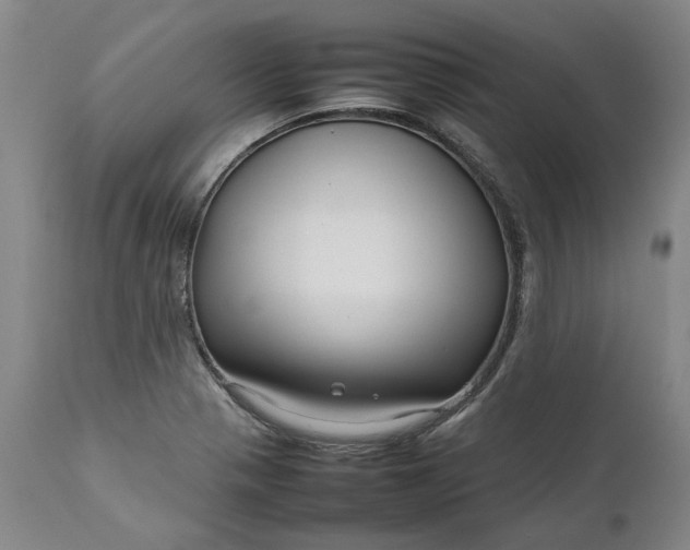 X0000111191321200907151339