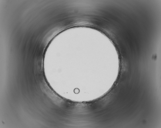 X0000111191322200907151339