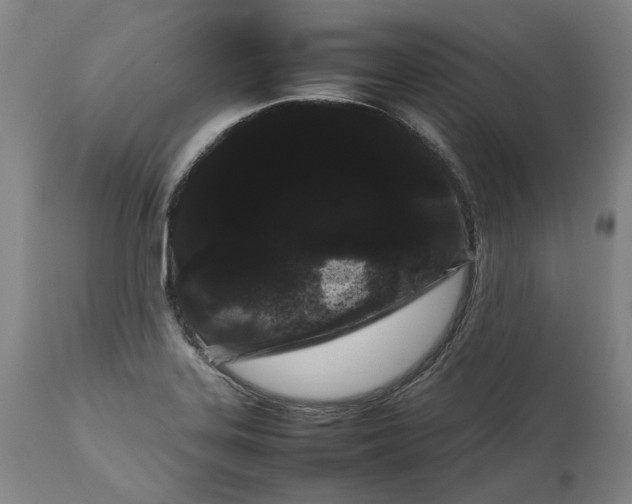 X0000111191323200907151339