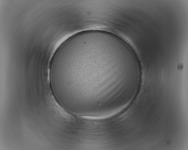 X0000111191324200907151339