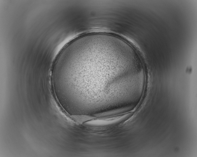 X0000111191325200907151339