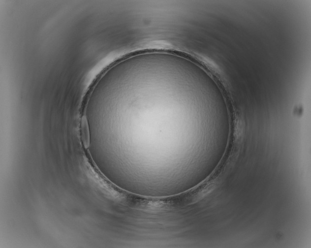 X0000111191326200907151339