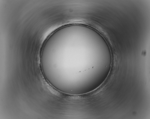 X0000111191328200907151339