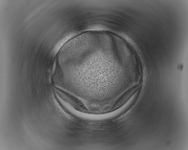 X0000111191329200907151339